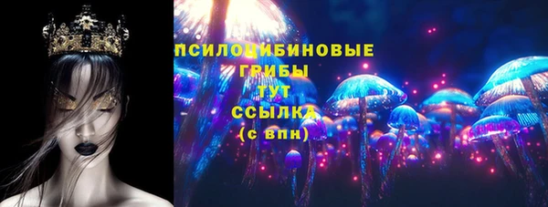 шишки Алексин