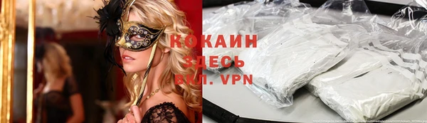 шишки Алексин